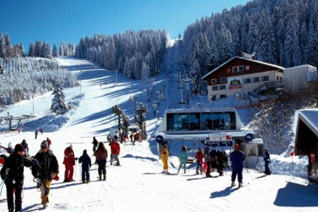 Le Chalet Du Bonheur , Individuel Avec Belle Vue Ban-de-Laveline Экстерьер фото